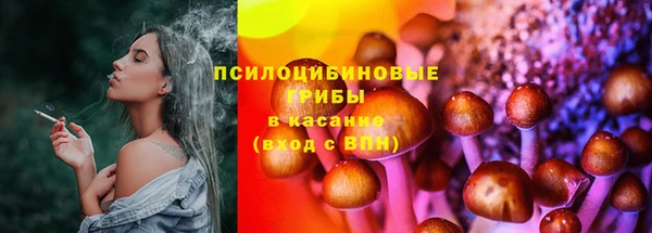 дурь Белоозёрский