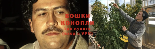 тгк Белокуриха