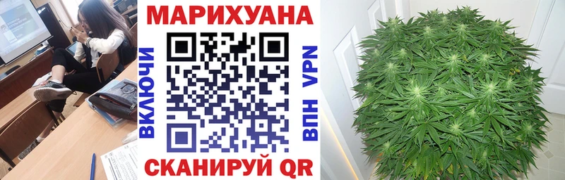 Бошки марихуана Ganja Верещагино